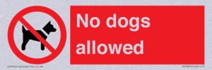 No dogs allowed